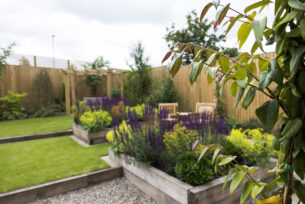  Oak sleepers used as raised beds to create a split leveled lawn with planting