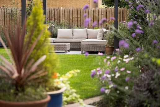 Contemporary new build garden with lawn, purple flowering plants, wooden fence and modern seating area.