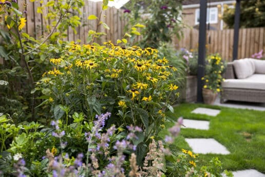 Contemporary new build garden Pocklington