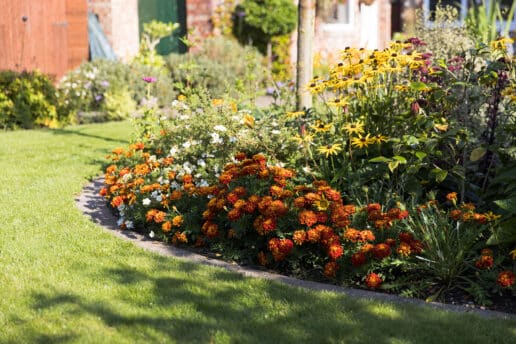 garden design and build haxby York