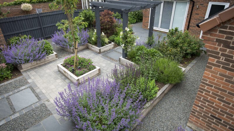 Modern garden design featuring purple flowering plants, raised beds, grey patio paving and contemporary pergola structure.