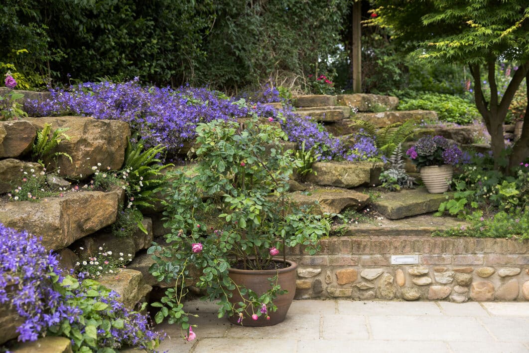 terraced garden design and build