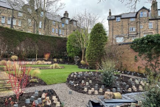 Planting out in Harrogate