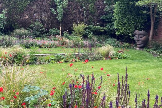 Natural planting Harrogate