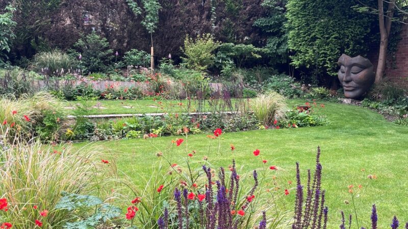 Natural planting Harrogate